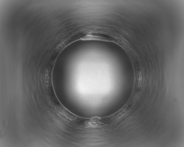 X0000058810372200509301240