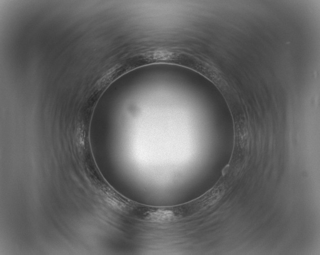 X0000058810374200509301240