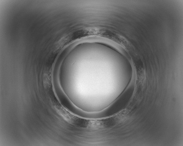 X0000058810376200509301240