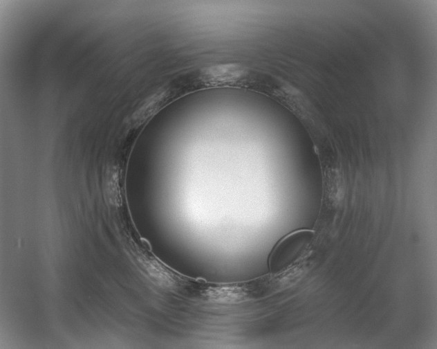 X0000058810378200509301240