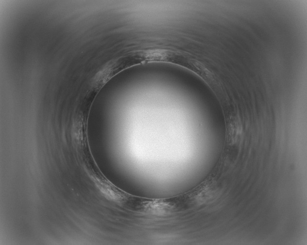 X0000058810379200509301240