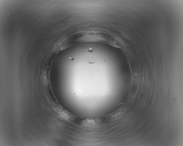 X0000058810381200509301240