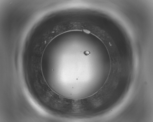 X0000058810382200509301240