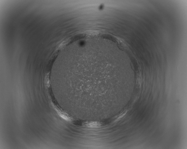 X0000058810383200509301240