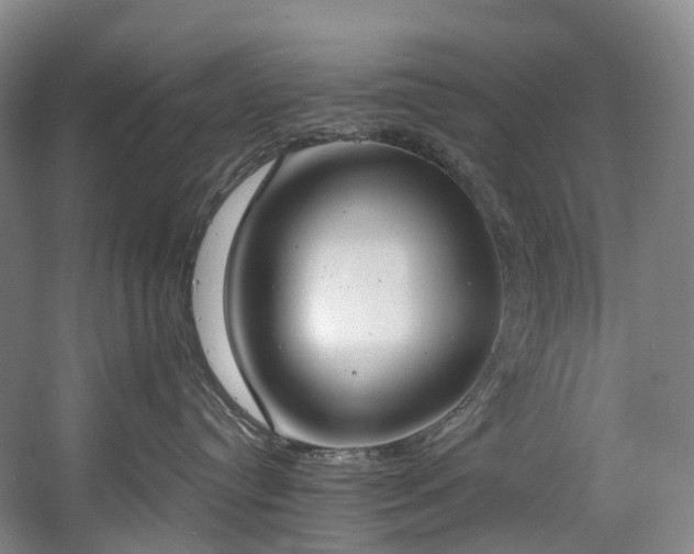 X0000058810384200509301240