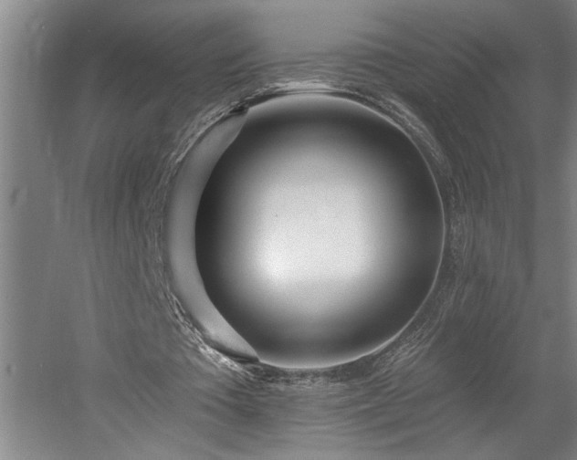 X0000058810385200509301239