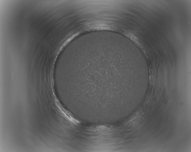 X0000058810390200509301239