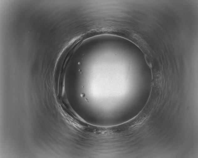 X0000058810395200509301239