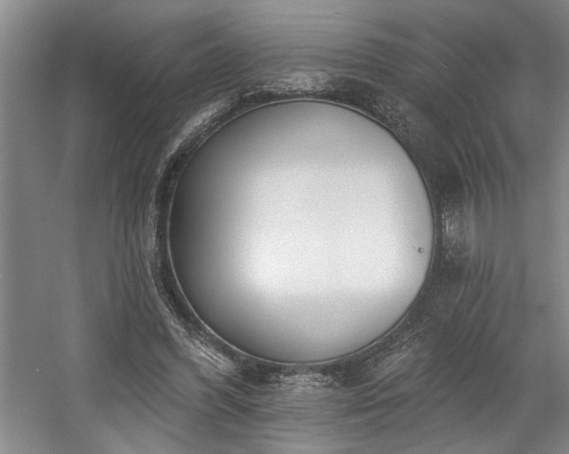 X0000058810396200509301239