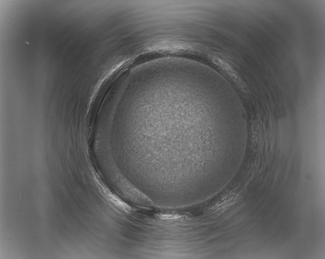 X0000058810399200509301239