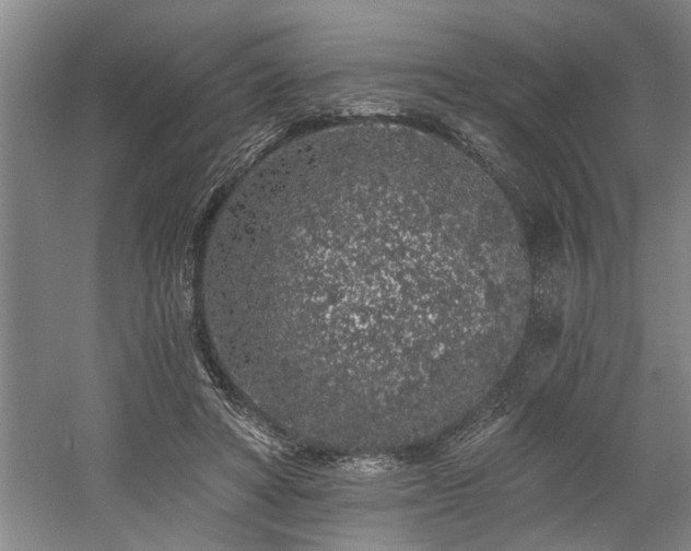 X0000058810402200509301239