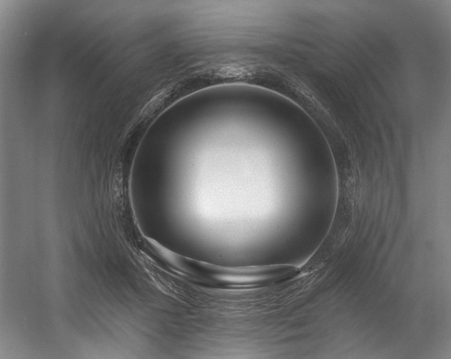 X0000058810407200509301239