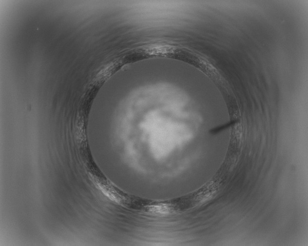 X0000058810411200509301238