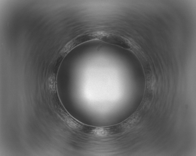 X0000058810425200509301238