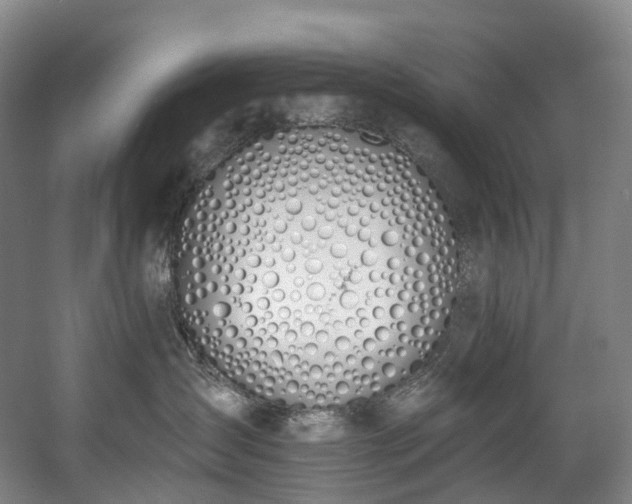 X0000058810431200509301238