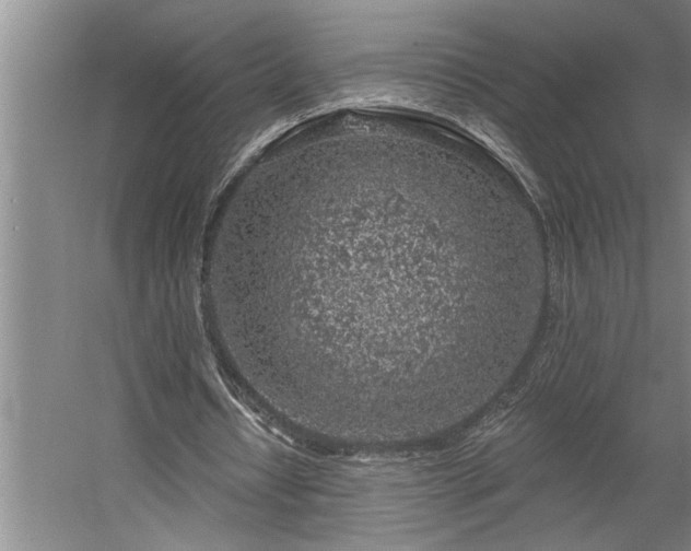 X0000058810434200509301237