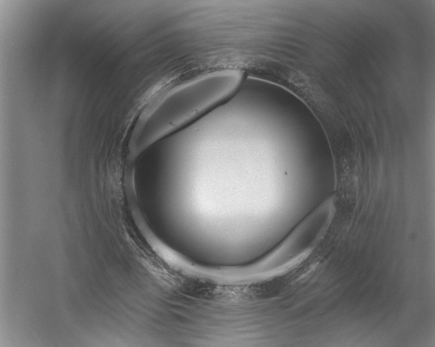 X0000058810440200509301237