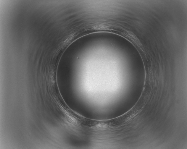 X0000058810441200509301237