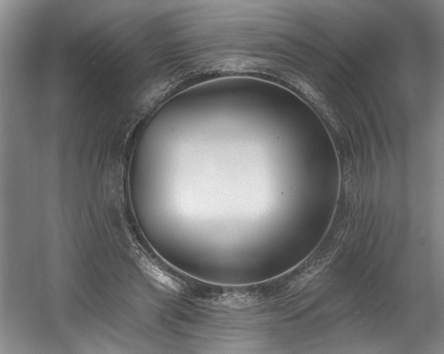 X0000058810445200509301237