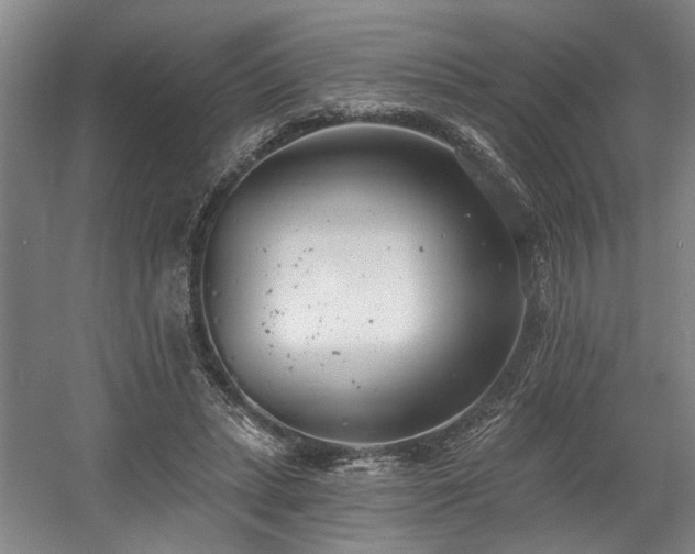 X0000058810447200509301237