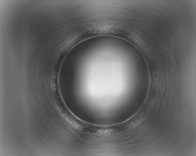 X0000058810450200509301238