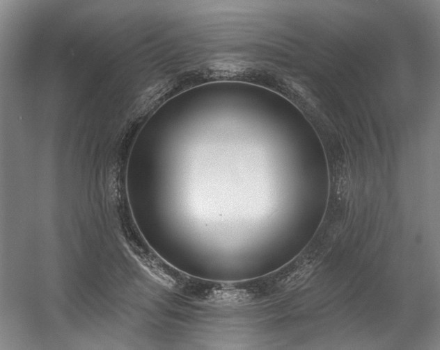 X0000058810455200509301238