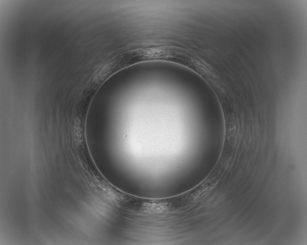 X0000058810469200509301238