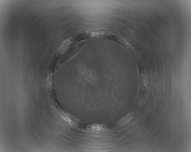 X0000058810475200509301238