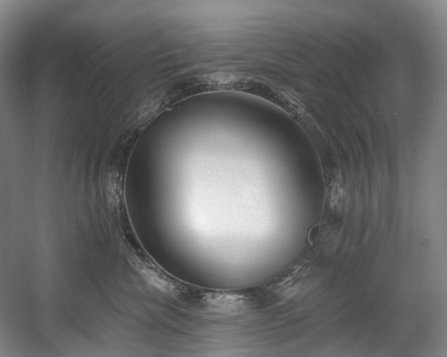 X0000058810476200509301238