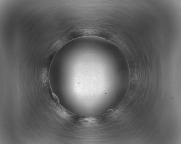 X0000058810478200509301238