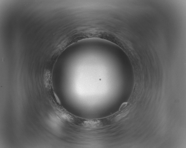 X0000058810480200509301238