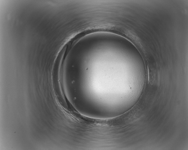 X0000058810483200509301237