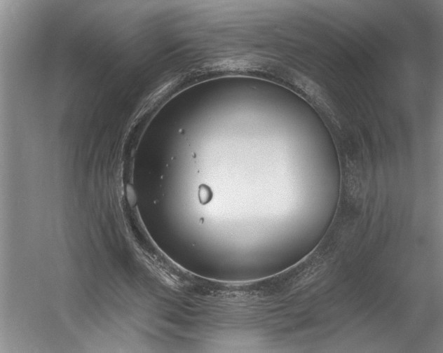 X0000058810486200509301237