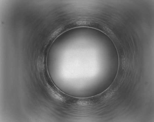 X0000058810490200509301237