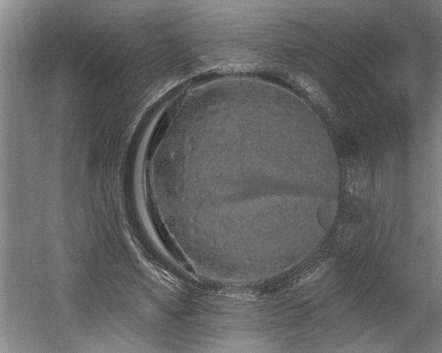 X0000058810491200509301237