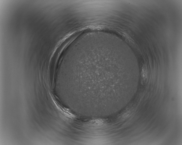 X0000058810492200509301237