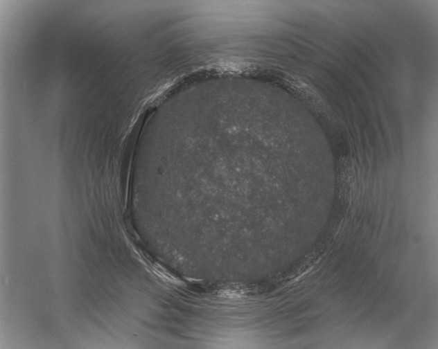 X0000058810496200509301237