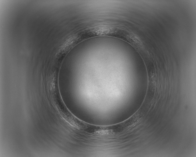 X0000058810499200509301237