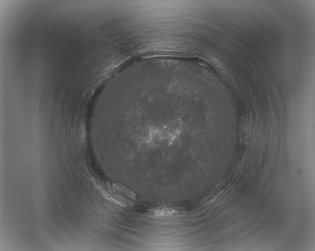 X0000058810500200509301237