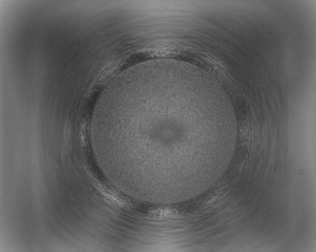 X0000058810503200509301237