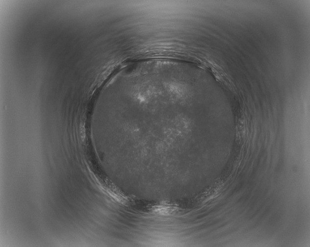 X0000058810504200509301237