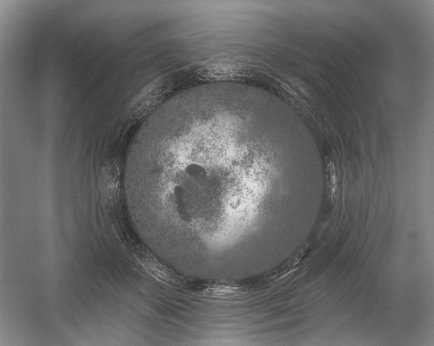 X0000058810507200509301237