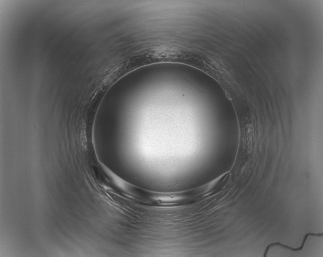 X0000058810508200509301237