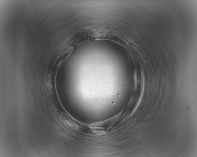 X0000058810516200509301237