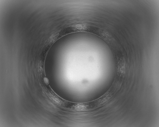 X0000058810518200509301237