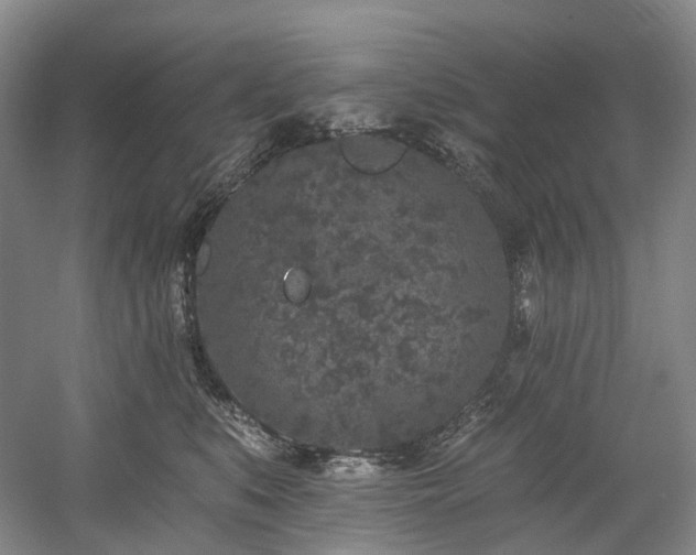 X0000058810519200509301237