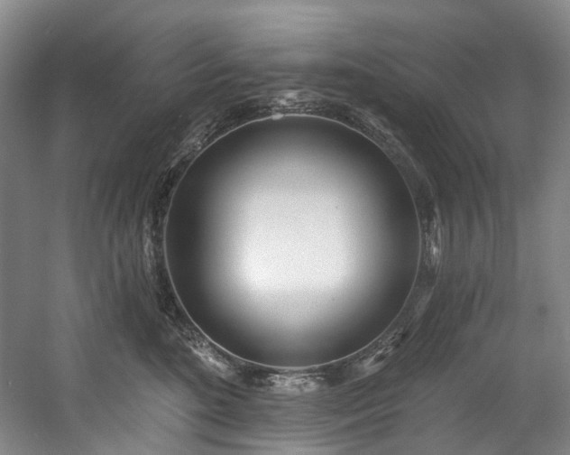 X0000058810520200509301237