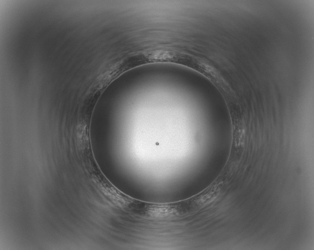 X0000058810521200509301237