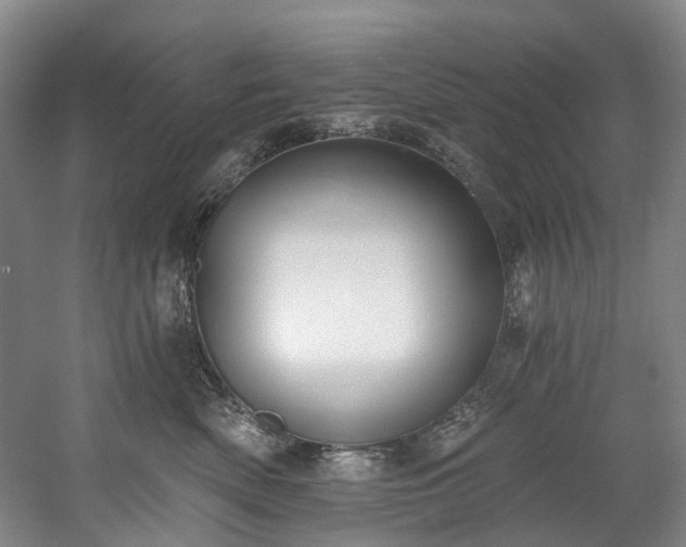 X0000058810522200509301237