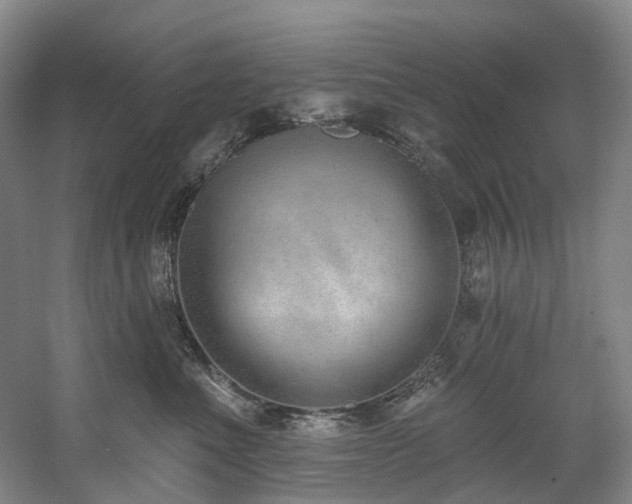 X0000058810523200509301237